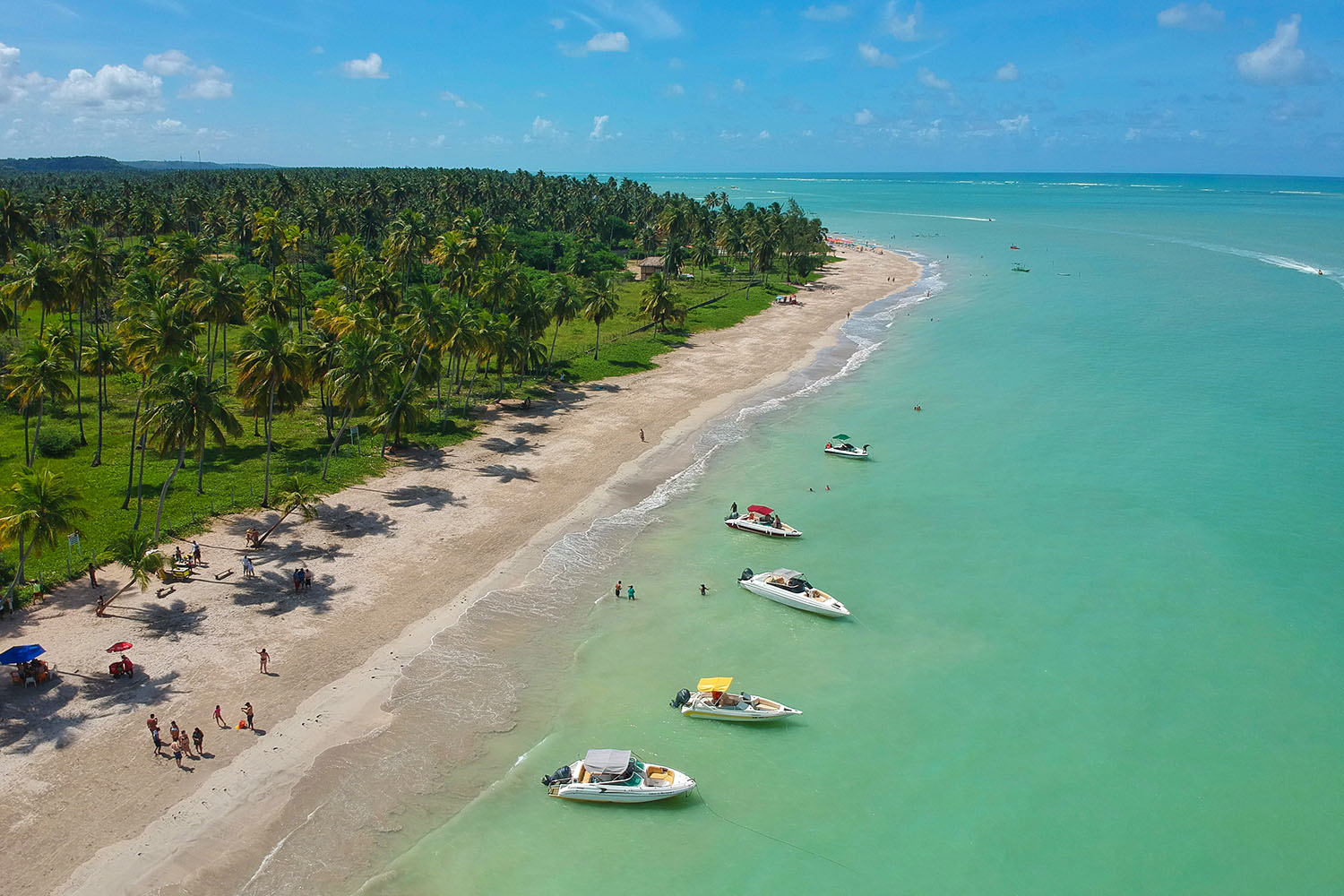 Praia com coqueiral e barcos ancorados