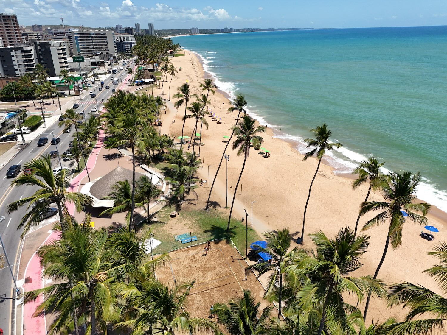 coqueiros com orla da praia de maceio